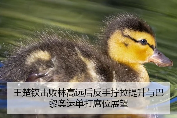 王楚钦击败林高远后反手拧拉提升与巴黎奥运单打席位展望